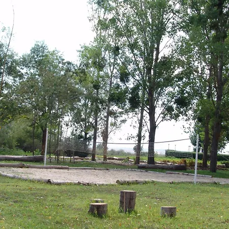 Happy ساني بيتش